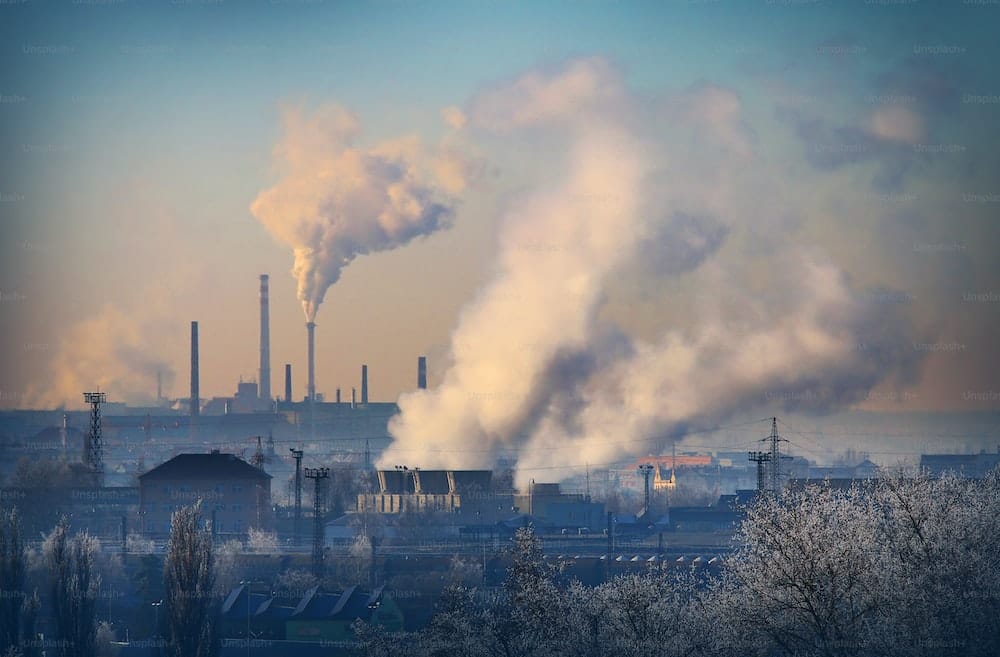 Thermal coal's Coasian bargain