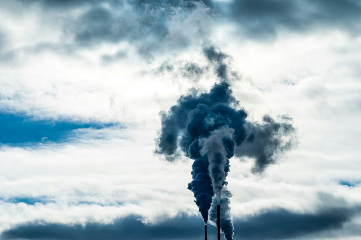 'Big Carbon'