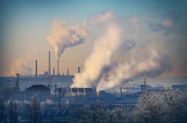 Thermal coal's Coasian bargain