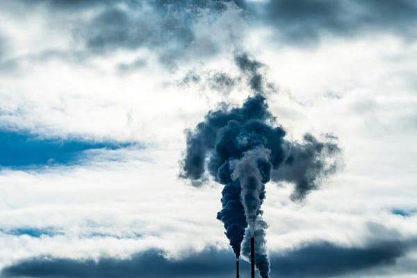 'Big Carbon'