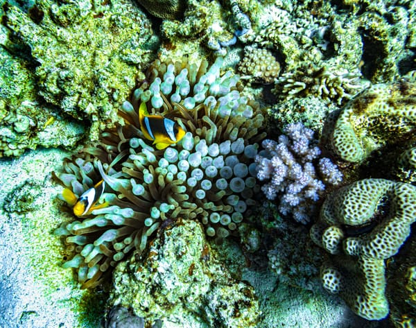 Climate change is showing its claws - it's time to adapt